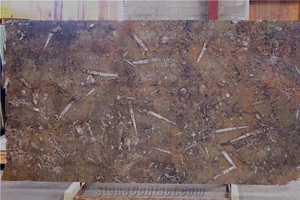 Cao cấp pakistani hóa thạch màu nâu đá cẩm thạch tấm trong tùy chỉnh kích cỡ, pakistani hóa thạch màu nâu đá cẩm thạch tấm, 100% tự nhiên hóa thạch đá cẩm thạch - Product Image 4