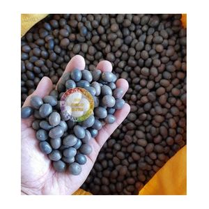 Graines de lotus noires en gros, graines de lotus noires séchées de qualité supérieure avec/sans peau au Vietnam - Product Image 5