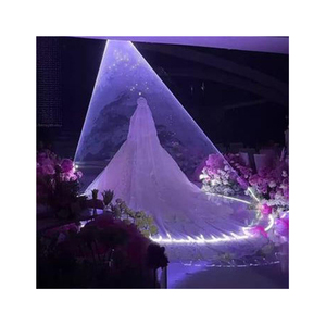 Hot Selling 5W APP <b>Controlled</b> Laser <b>Light</b> for New Couple's First Dance Ceremony Stage Lighting for Bride Party Decorations - Product Image 3