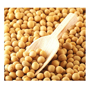 เมล็ดถั่วเหลืองปลอดจีเอ็มโอออร์แกนิก - Product Image 4