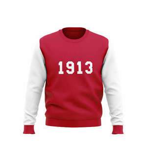 Sudadera bordada personalizada DST Sorority para Delta Sigma Theta, parafernalia griega, Jersey transpirable de talla grande, diseño en blanco - Product Image 4