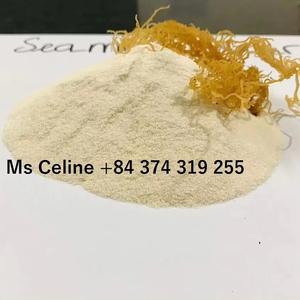 ผง Seamoss จาก100% ผง Seamoss แบบ Seamoss ธรรมชาติ - Product Image 5