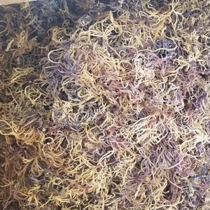 Wholesale Dried <b>Sea</b> <b>Moss</b> Eucheuma Cottonii Raw Irish Seaweed Purple Gold Organic Wildcrafted Spinosum Vietnam Bulk Export - Product Image 1