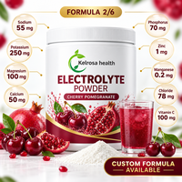 Poudre instantanée d'électrolytes végétaliens sans sucre en vrac – Complément de boisson électrolytique pour l'hydratation des hommes et des femmes