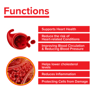 Supplément en poudre de boisson booster d'énergie à base de plantes personnalisé OEM marque privée pour adultes - Product Image 3