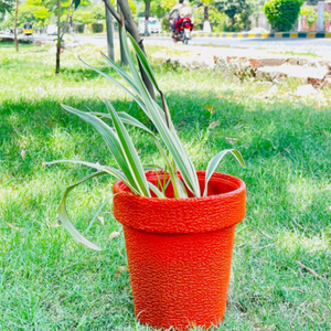Pot à fleurs en plastique Vente en gros - Product Image 1