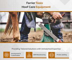 Pince à sabot demi-lune en fer à cheval pour la coupe des sabots Outil de maréchal-ferrant et coupe-sabot | Solution OEM et de marque privée - Product Image 6