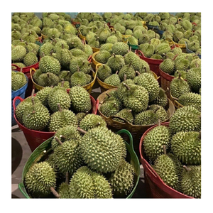 EXCELLENT PRIX NATUREL ADAPTÉ DURIAN CONGELÉ DU FOURNISSEUR VIETNAMIEN - Product Image 5