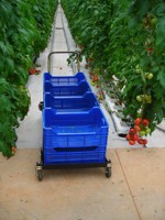 Vente chaude Grande serre Équipement agricole Chariot de récolte standard pour tomates Construction en acier Certifié CE ISO 2 ans