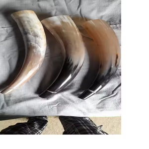 Cornes naturelles dégradables écologiques personnalisées fabriquées à partir de corne de buffle pour les fournitures de viking de fête par Crescent Crafts - Product Image 4