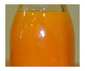 Purée de fruits de la passion de qualité supérieure aux saveurs douces, purée de fruits de la passion sucrée pour les marchés d'exportation en vrac - Product Image 2