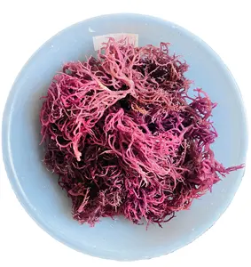 स्वास्थ्य प्राकृतिक स्वादिष्ट उत्पाद सूखे समुद्री मॉस-इरीश मॉस-भोजन के लिए समुद्री शैवाल