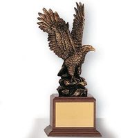 Trophée personnalisable en laiton antique de 8 pouces, fait main, avec impression numérique, tête de cheval, récompense en cuivre métallique personnalisée, bicolore, pour l'éducation
