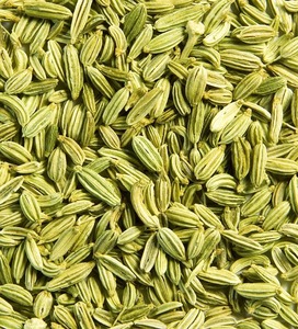 Fenouil aromatique biologique de qualité supérieure pour la cuisine, les tisanes et les recettes traditionnelles, disponible à un prix abordable - Product Image 3