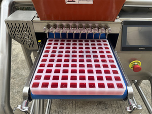 Déposeuse de bonbons CXM <span class=keywords><strong>avec</strong></span> cuisson intelligente et démoulage automatique, machine à chocolat pour usine de confiserie - Product Image 4