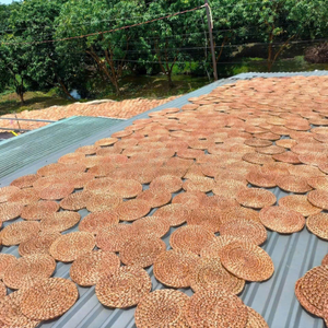 Esteras redondas de jacinto de agua con estilo, decoración Bohemia Vintage única orgánica para el hogar, caja empaquetada para sala de estar, trae naturaleza al interior - Product Image 4