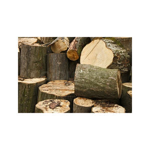 Hornbeam bois de chauffage distribution en gros lots en vrac livraison rapide approvisionnement fiable - Product Image 2