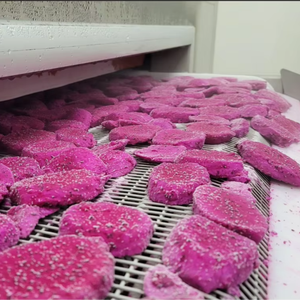 Cubos de fruta de dragón congelado IQF del mejor exportador de Vietnam/venta al por mayor a granel, embalaje personalizado disponible - Product Image 1