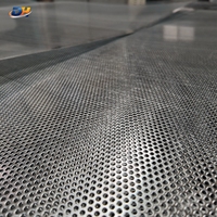 Lámina Metálica Perforada de Acero Inoxidable, Aluminio y Acero, Panel Decorativo, Malla Filtrante, Malla con Orificios Personalizados