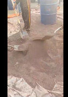 Coltan 100% naturel de qualité 1, minéral de tantale composé d'oxyde de cérium, marque RIKAZ, origine Congo