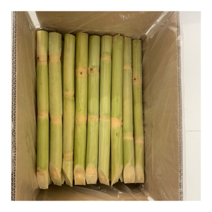 Bâtons de canne à sucre congelés de qualité d'exportation du Vietnam avec douceur naturelle pour la transformation du jus et diverses créations culinaires - Product Image 4