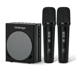 WinBridge S90 Speaker sistem PA portabel, 30W 2 mikrofon genggam nirkabel 5V pengisian USB AUX musik Play penguat suara - Product Image 1