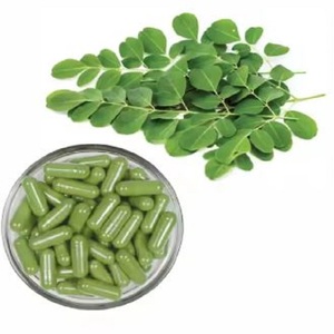 Venta directa de fábrica Cápsulas de extracto de hierbas de Moringa orgánicas personalizadas Grado alimenticio Mejor precio Embalaje importado de la India - Product Image 1
