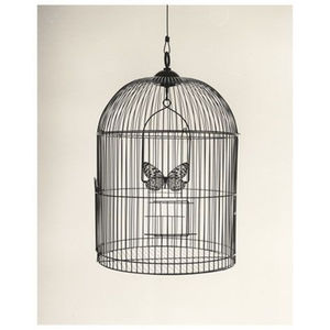 กรงนกและบ้านทำจากโลหะสำหรับกรงนกสำหรับตกแต่งสวนในบ้านกรงนกแก้ว - Product Image 4