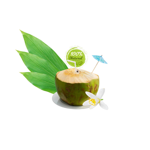 Noix de coco fraîche vietnamienne, boisson naturelle parfaite pour l'agriculture - Product Image 5