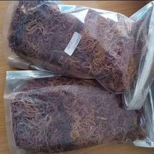 Musgo irlandés natural, precio competitivo, entrega rápida - Product Image 2