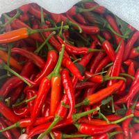 Fresh Raw Red Chili From Vietnam 30kg/pack for Green Chili and Dry Ginger Mixed Spice Recipes
