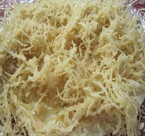 เวียดนาม cottonii สาหร่ายทะเลนิมบัสตัดยอดที่เหลือดวงอาทิตย์แห้งมหาสมุทรการทำอาหารสดใช้จำนวนมากส่งออกโดยตรงคุณภาพการค้าระดับโลกในทะเล - Product Image 4
