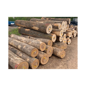 Offre spéciale sur les bûches de bois de chauffage mixtes à vendre chêne frêne bouleau en vrac Bubinga teck pin pour le travail du bois produits liés à l'énergie - Product Image 6