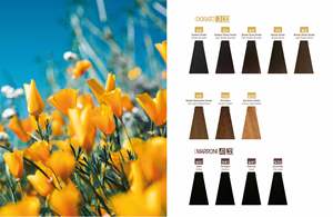 Crema de Coloración Permanente para el Cabello con Aceite de Argán, Fórmula Italiana GioMat, para Salón Profesional - Product Image 5