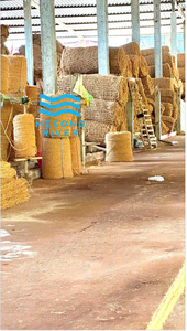 Malla de Fibra de Coco / Rollo de Red de VIETNAM para una Solución de Control de la Erosión Duradera, Sostenible y Asequible - Product Image 3