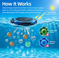 Ioniseur solaire pour piscine, purificateur d'eau de piscine alimenté par l'énergie solaire, ioniseur en cuivre écologique pour le nettoyage de la piscine