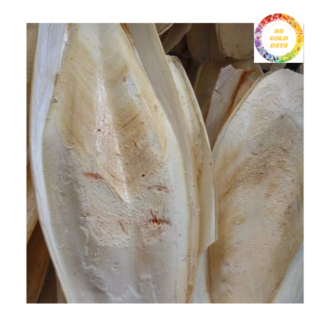 Natural Vietnam Raw Cuttlefish Bone Seafood Byproduct for Craft Use, Bird Care, Soil Amendment and Industrial Calcium Material