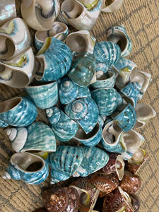 Anillo de Servilleta de Pasto Marino Hecho a Mano, Estilo Rústico y Natural, para Decoración de Mesa, Accesorios de Decoración, Venta al por Mayor - Product Image 6