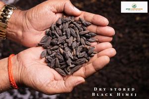 ผลิตภัณฑ์ทางการเกษตรแบบพรีเมียม Haritaki Terminalia Chebula - Product Image 3