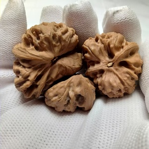 Tripletas de Bisonte Premium, um Colecionável Exótico. - Product Image 3