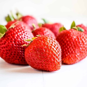 Fresas orgánicas frescas dulces y maduras para hornear o consumo diario entrega rápida y precio bajo al por mayor en stock - Product Image 4