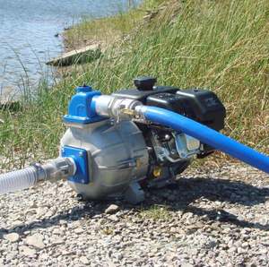 Bomba de Agua Centrífuga de Riego Eléctrica de Alta Eficiencia de 1 HP Serie CPM al Mejor Precio - Product Image 6