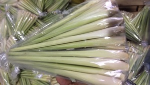 Tiges de citronnelle surgelées de qualité supérieure pour l'exportation, destinées à la transformation alimentaire, la restauration et la vente en gros – Fournisseur vietnamien - Product Image 3
