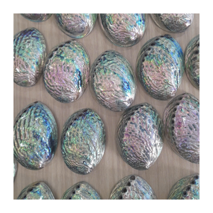 เปลือกหอยเป๋าฮื้อแบบเวียดนามเครื่องประดับสำหรับตกแต่งงานฝีมือเครื่องประดับเปลือกหอยธรรมชาติสีรุ้งสวยงามสำหรับบ้านร้านอาหารข้อเสนอที่ดีที่สุดตอนนี้ - Product Image 5