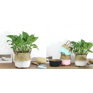 Cesta de algas marinas Buena calidad Hecho a mano Almacenamiento creativo Artesanía Diseños personalizados Fabricante de Vietnam - Product Image 3