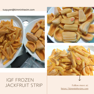 GTop Best-Selling Kosher Certified IQF Frozen Sweet Yellow Jackfruit 100% Natural Vietnam Origin Embalaje entero a granel - Product Image 5
