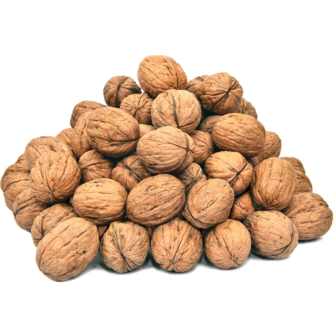 Walnuts Nuts Wholesale Worldwide Export