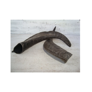 Cuerno de Shofar de cabra Artículo decorativo Antiguo tallado Tradicional Shofar Cuerno de pared decorativo - Product Image 3