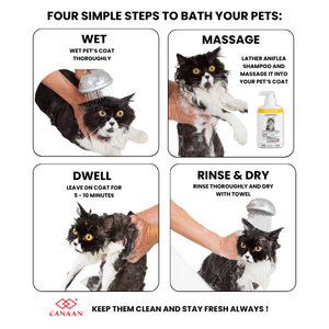 Beste Koop Preventie Besmetting Aniflea Anti-Vlooien Kat Shampoo Klinisch Bewezen Behandeling Voor Vlooienbestrijding Gemaakt In Maleisië - Product Image 5