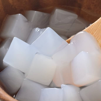 Beste Dessert Natuurlijke Nata De Coco Kokosnoot Jelly Pudding Hoge Kwaliteit Met Beste Prijs Export Uit Vietnam